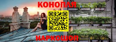 трава Лесосибирск