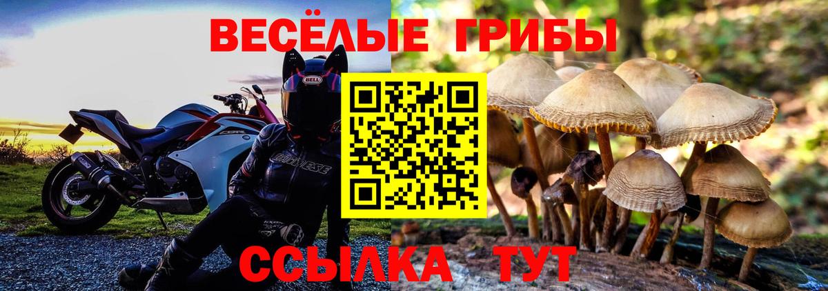 Галлюциногенные грибы GOLDEN TEACHER  Вход с VPN  Галлюциногенные грибы ЛСД  Сыктывкар 